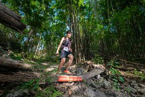 BIB: 
                            <button type="button" onclick="openModal(19387804)" class="btn btn-primary btn-sm float-right btn-popup" data-toggle="modal" data-target=".modal-high-quality">
                        <i class="fas fa-shopping-cart"></i> Add to Cart
                    </button>
                                            <button type="button" onclick="isThisMe(19387804, true)" class="btn btn-success btn-sm float-right btn-popup btn-isme hidden" data-toggle="tooltip" data-placement="bottom" title="นี่คือรูปของคุณใช่ไหม คลิกที่นี่เพื่อเอาเข้าอัลบั้ม">
                        <i class="fas fa-plus"></i> Add to album
                    </button>
                    <button type="button" onclick="isThisMe(19387804, false)" class="btn btn-warning btn-sm float-right btn-popup btn-isnotme hidden">
                        <i class="fas fa-ban"></i> Remove from album
                    </button>